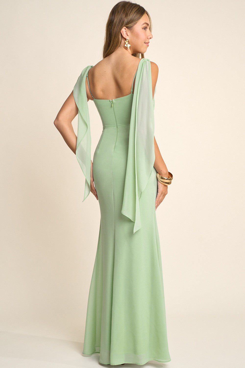 Shimmery Georgette Chiffon Maxi Dress