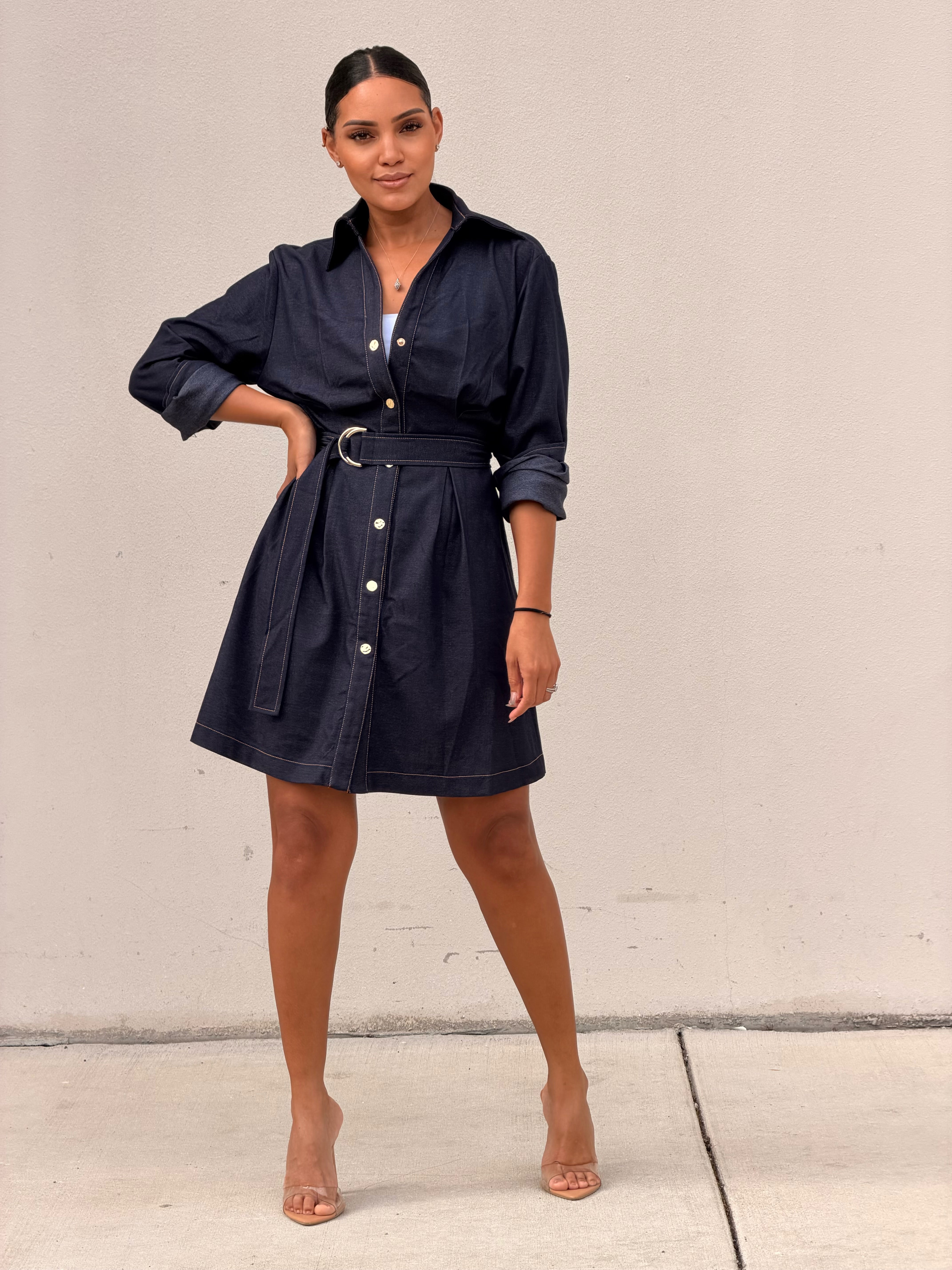 Denim LNG Sleeve Dress