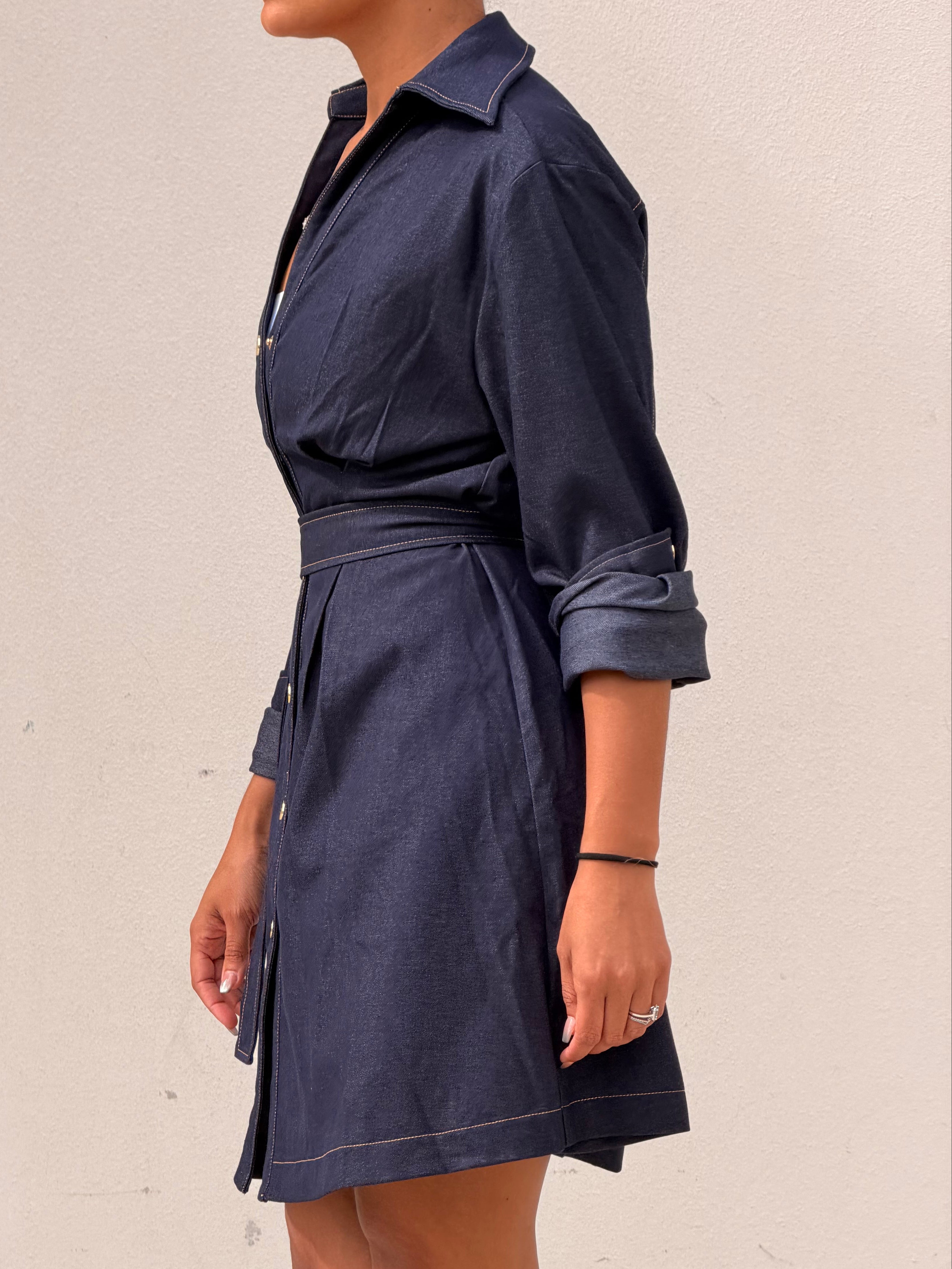 Denim LNG Sleeve Dress