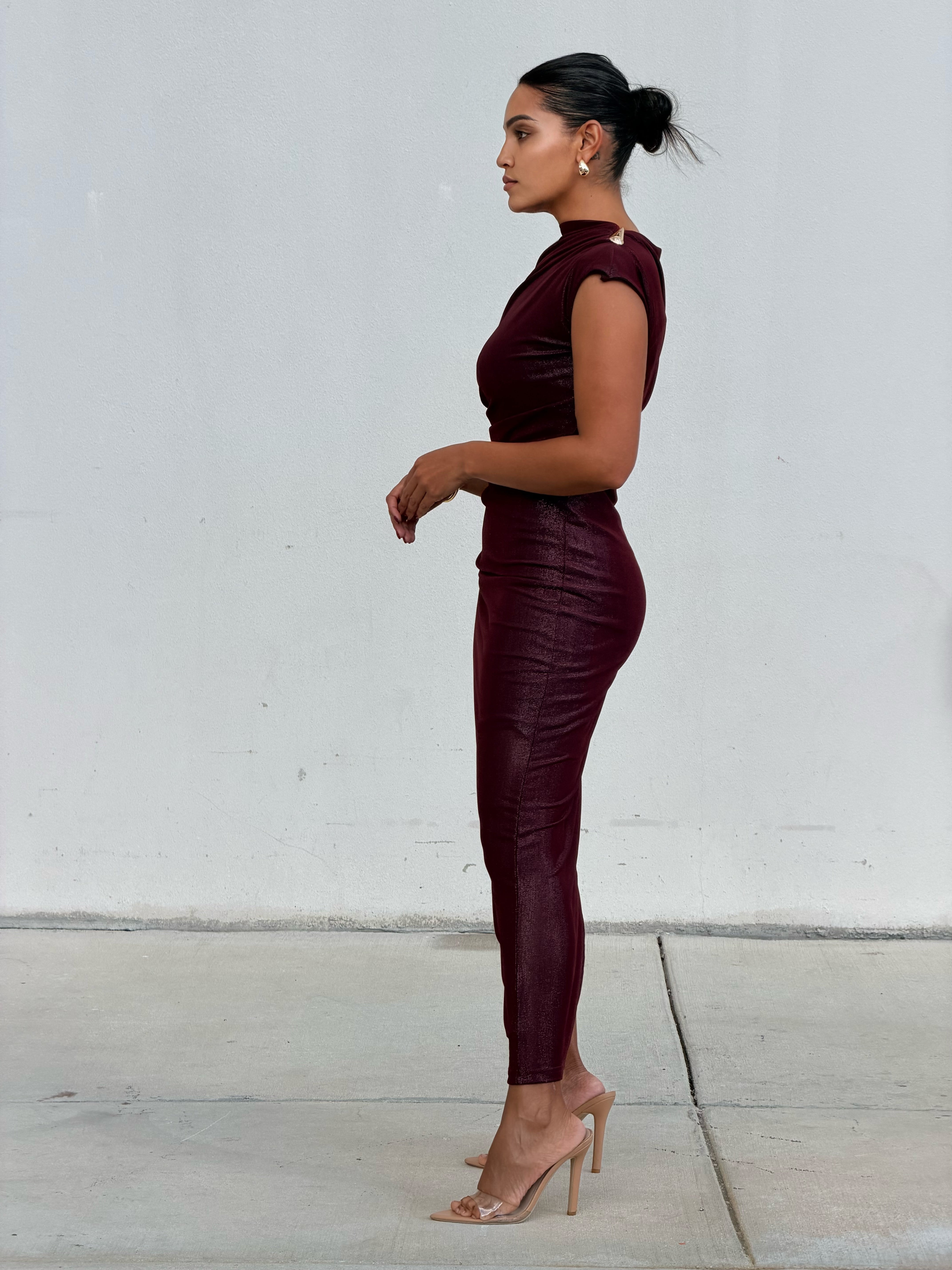 Passionate Plum Dress