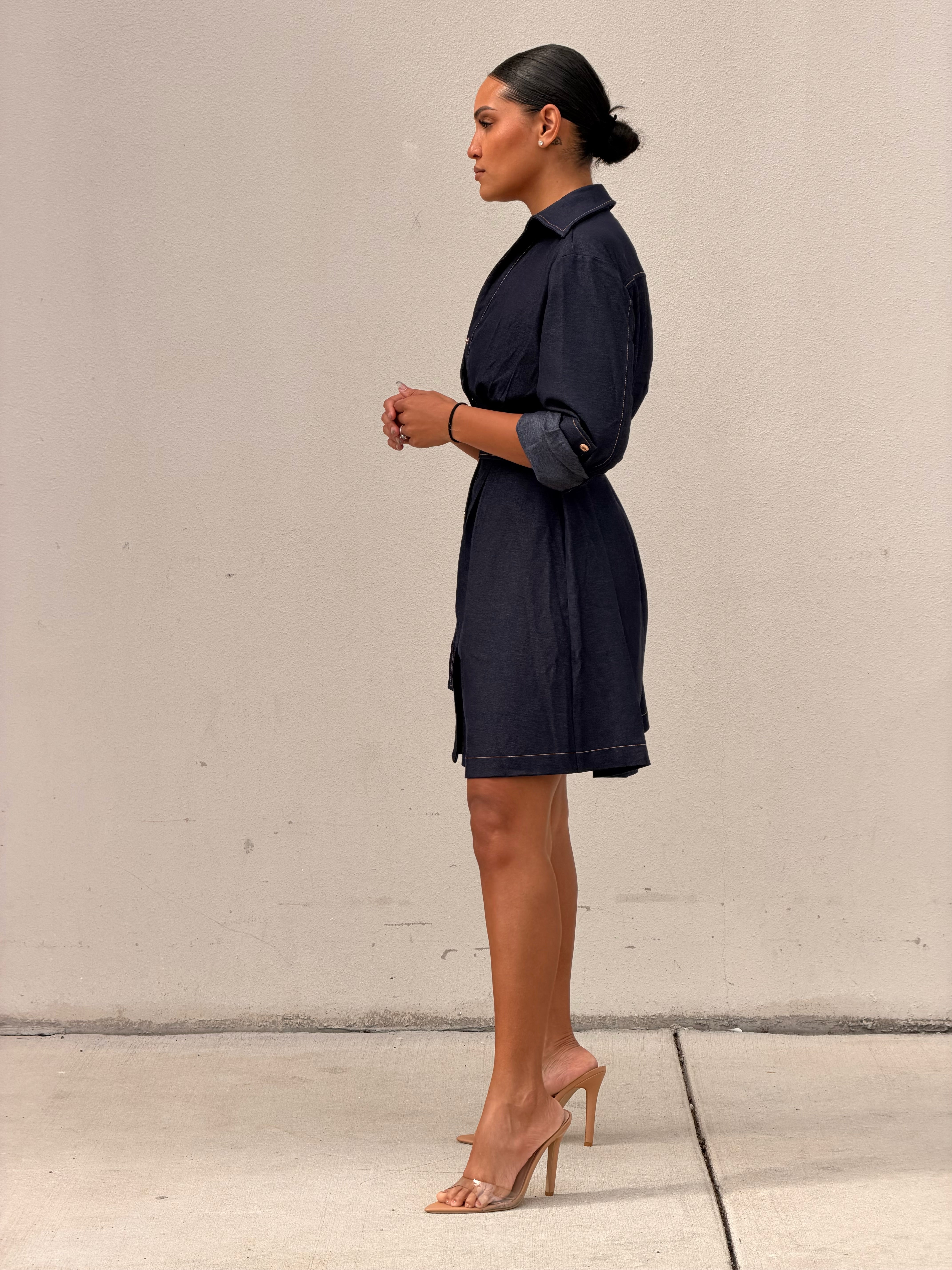 Denim LNG Sleeve Dress