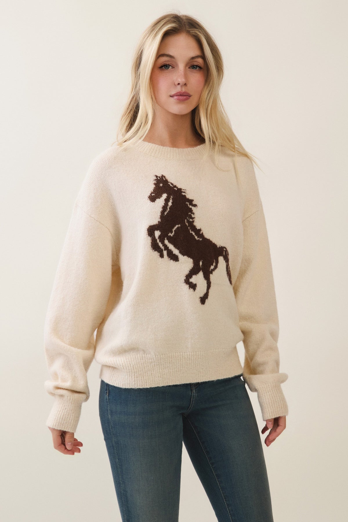 Horse Pattern Sweater